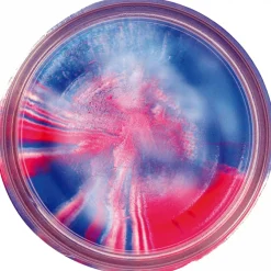 Berkley PowerBait® Natural Glitter Trout Bait (Garlic CPT America Glitter)