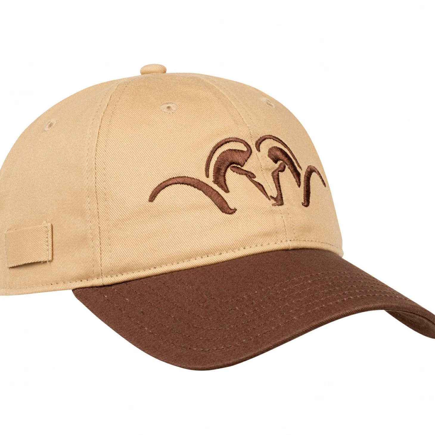 Blaser Kappe Argali (Antilope)