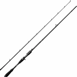 Blg L Solution Statement (Casting)