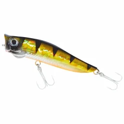 Colonel Popper Popstar FL (perch)