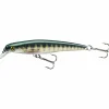 Cormoran Wobbler Cor F6 (Perch)