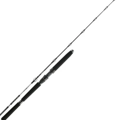 Daiwa Meeresruten BG Deep Sea Deep Sea XH 220 cm 150-300 g 30 lb
