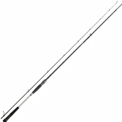 Daiwa Meerforellenrute Morethan AGS Seatrout