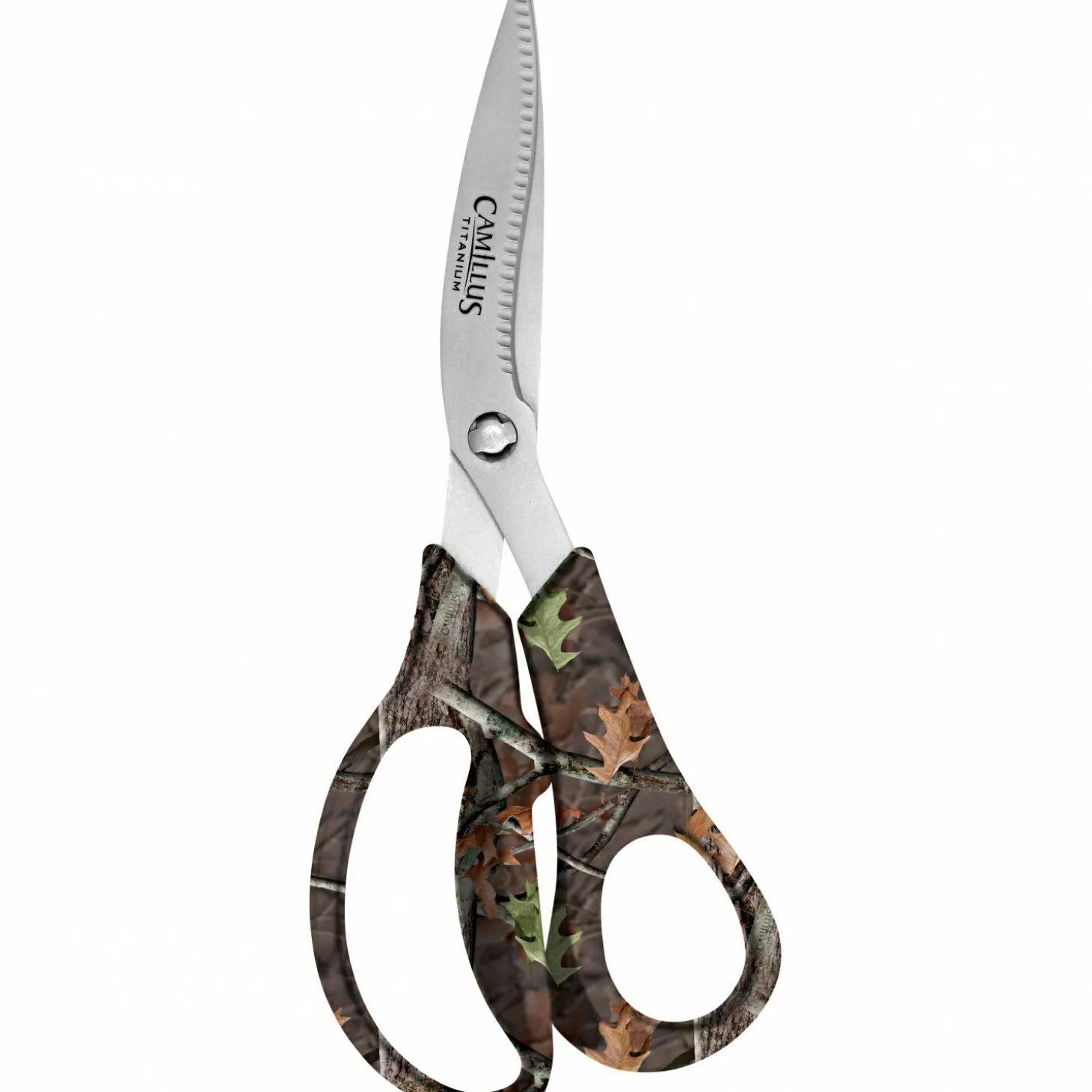 Eisele Camillius zerlegbare Fischschere