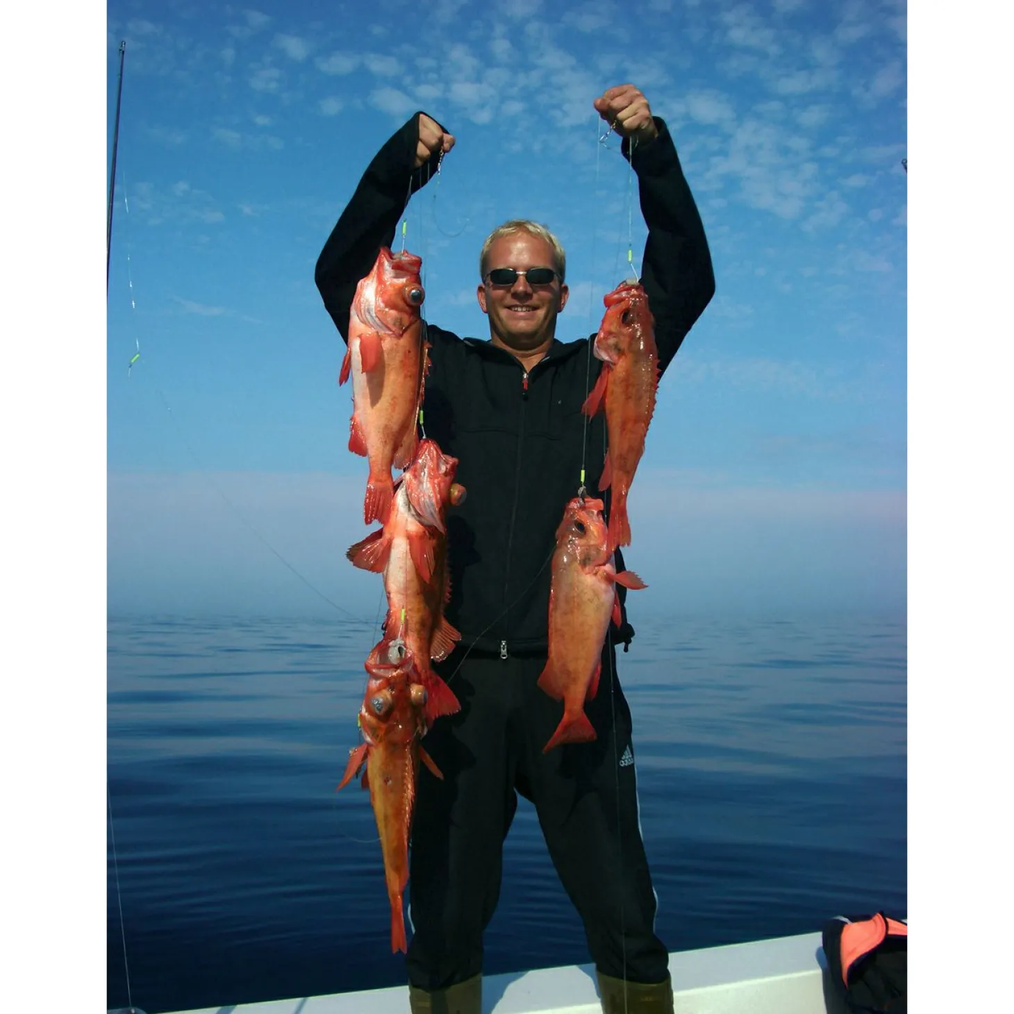 Eisele Rotbarsch-System-Circlehook