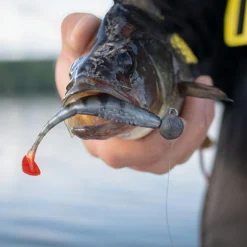 Fox Rage Scent Shad (Ultra Natural Perch)