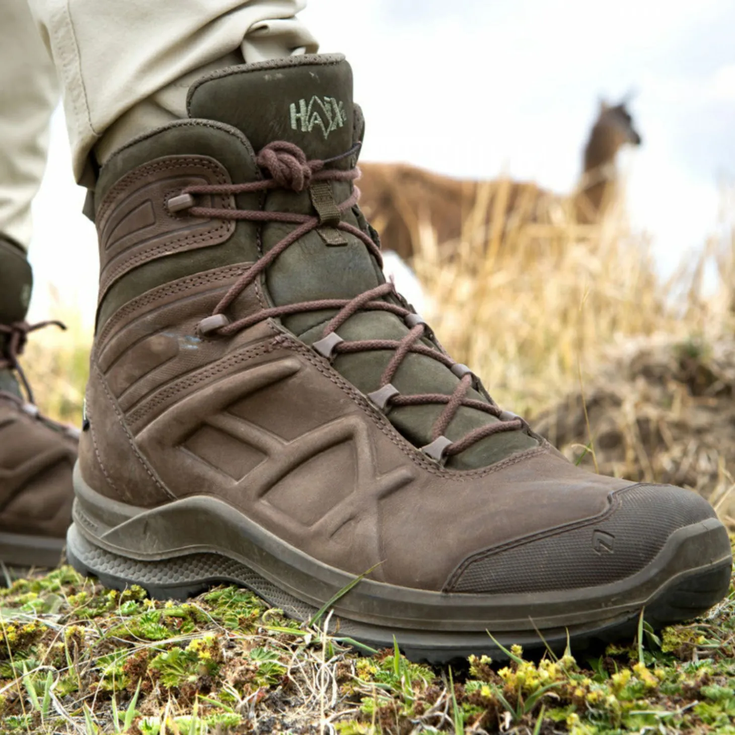 Haix Black Eagle Nature GTX Mid Herren (Brown/Green)