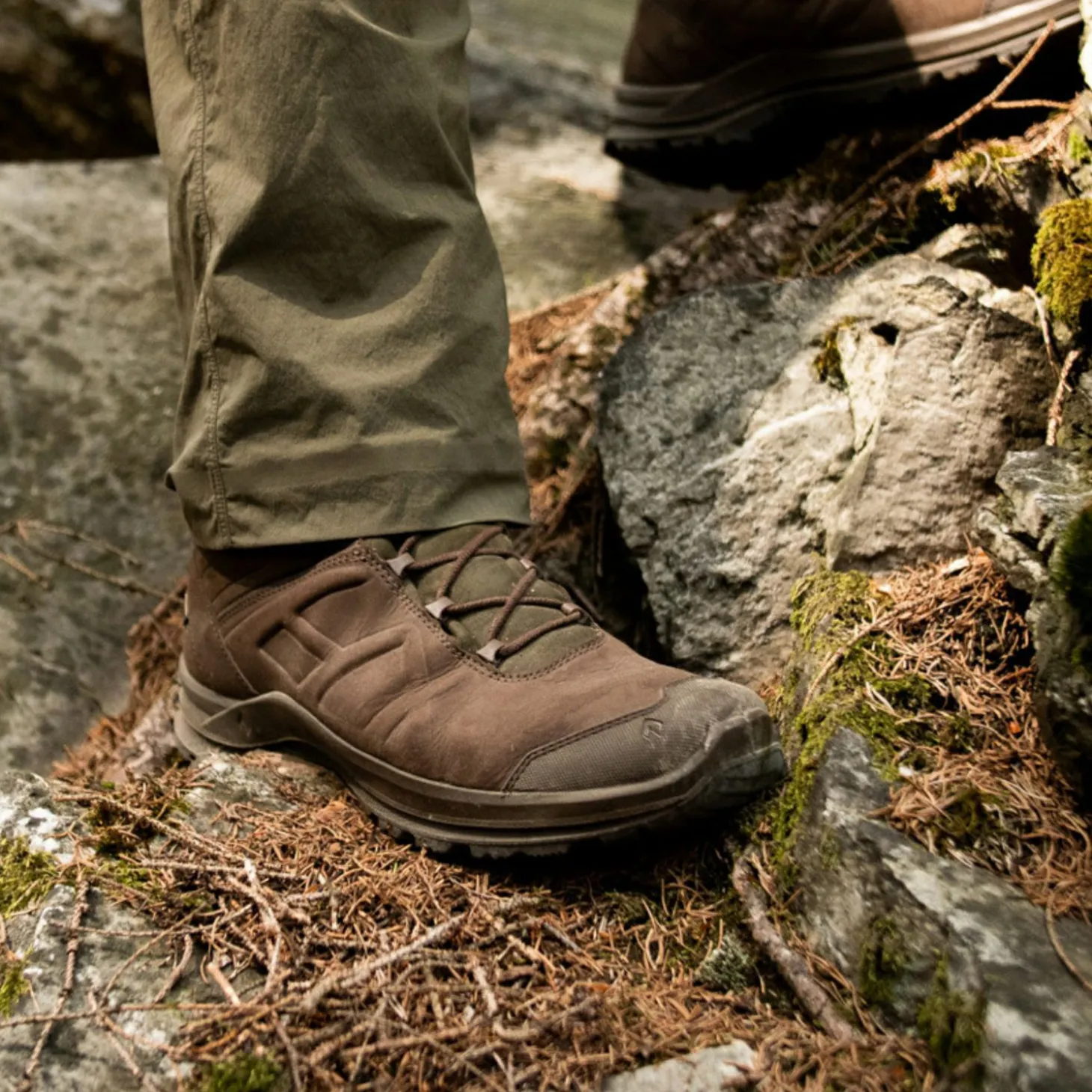 Haix Black Eagle Nature GTX Mid Herren (Brown/Green)