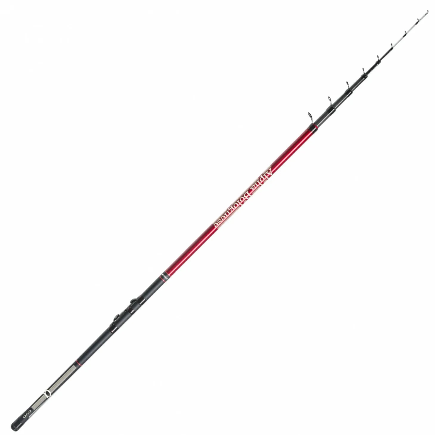 Kogha Alpha Bolognese