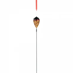 Kogha Korkpose Tradition Trent