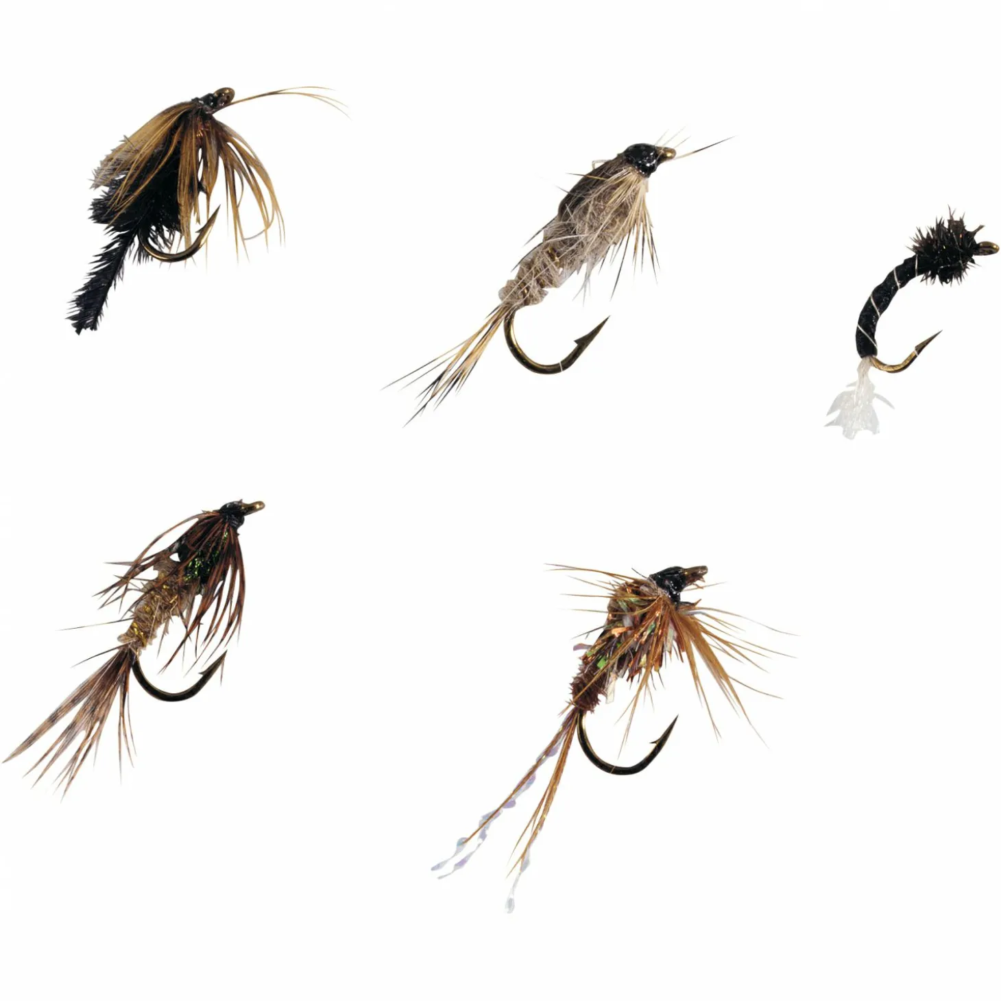 Kogha Nymphen Sortiment