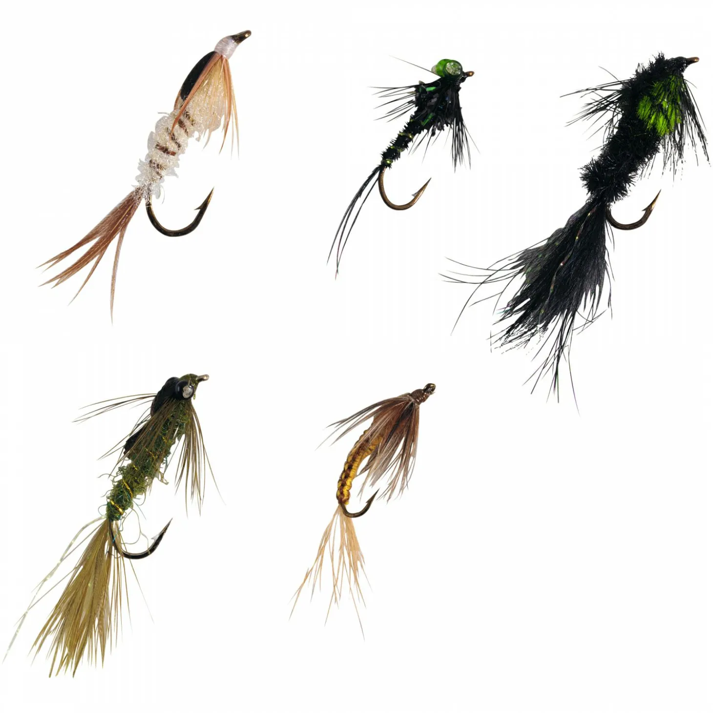 Kogha Nymphen Sortiment