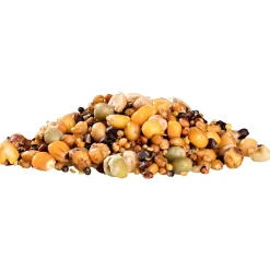 Kogha Particles Crazy Action Baits