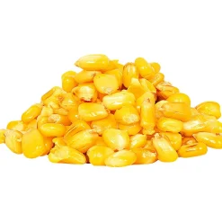 Maros Mix Friedfischfutter Angelmais