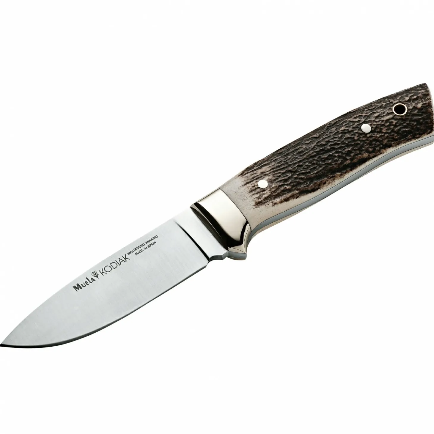 Muela Messer Kodiak Stag