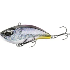 Nays LPR Noisy (S-06)