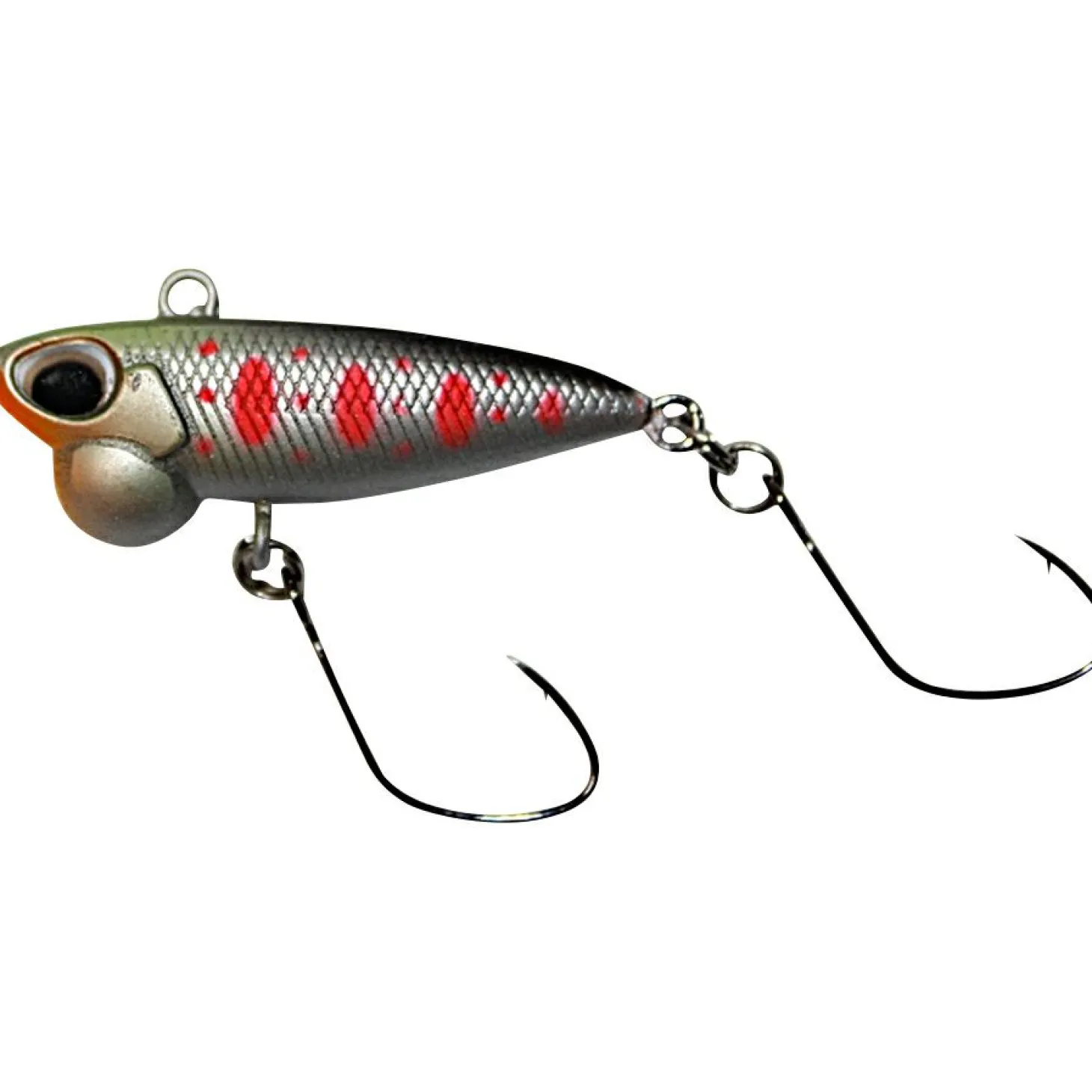 Paladin Achilles (H)