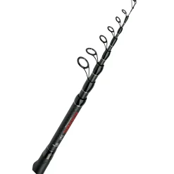 Paladin Allzweckwaffe