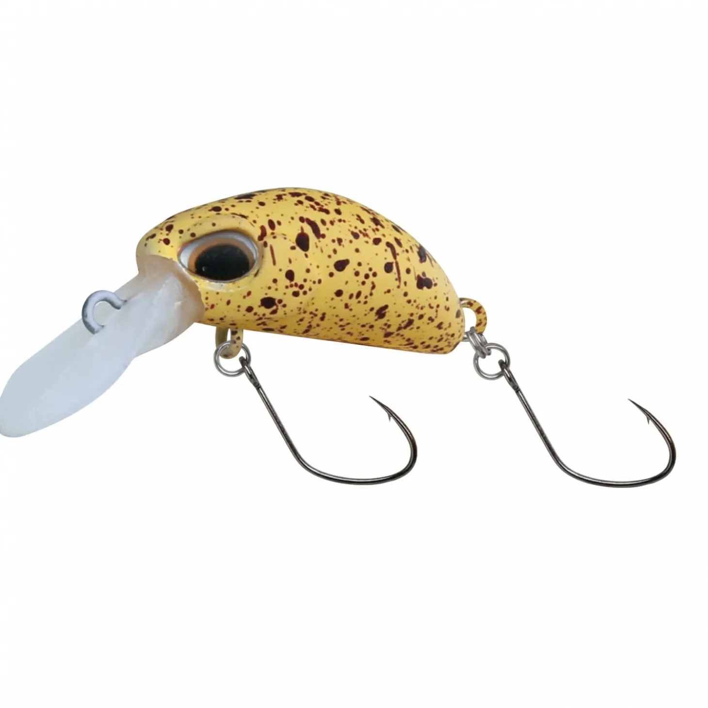 Paladin Mister Bean (schwimmend, C)