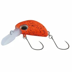 Paladin Mister Bean (schwimmend, A)