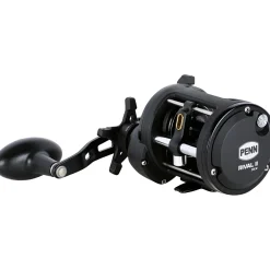 Penn Rival 2 Level Wind 30SD RH