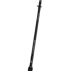 Penn Squadron IV Boat Sensitip Spin