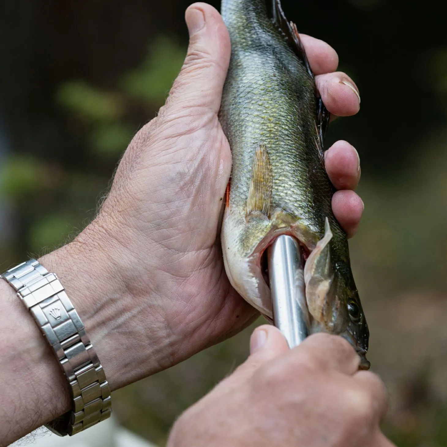 Pulz Bait Gutter Tool