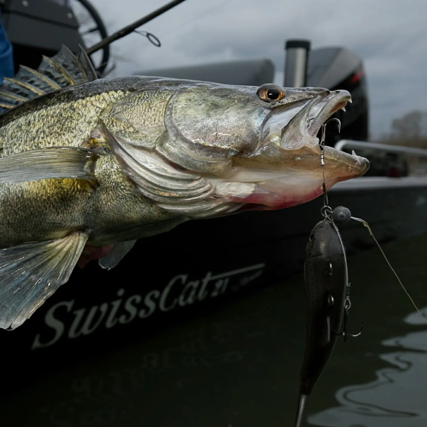 Pulz Bait Jigging Rigz