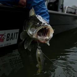 Pulz Bait Jigging Rigz