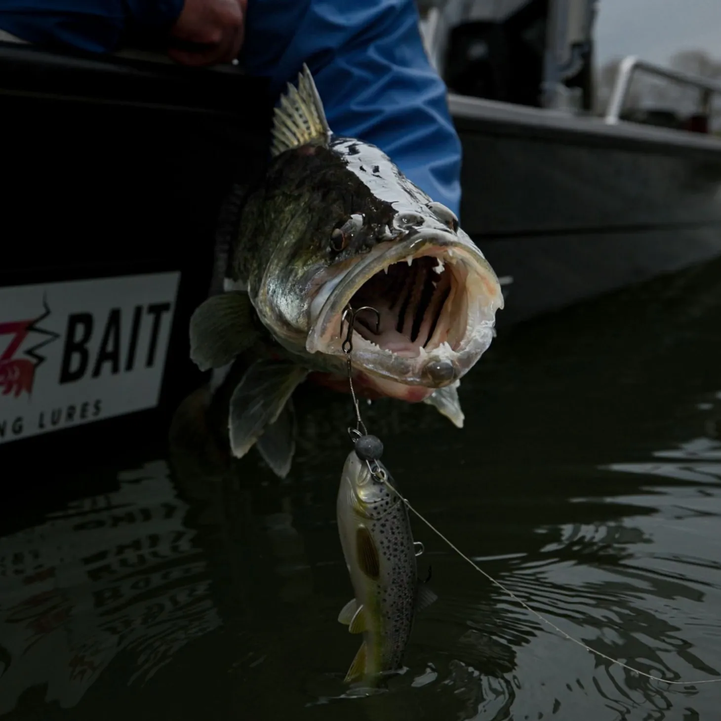 Pulz Bait Jigging Rigz