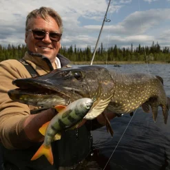 Pulz Bait Perch Skinz (Natural Perch)