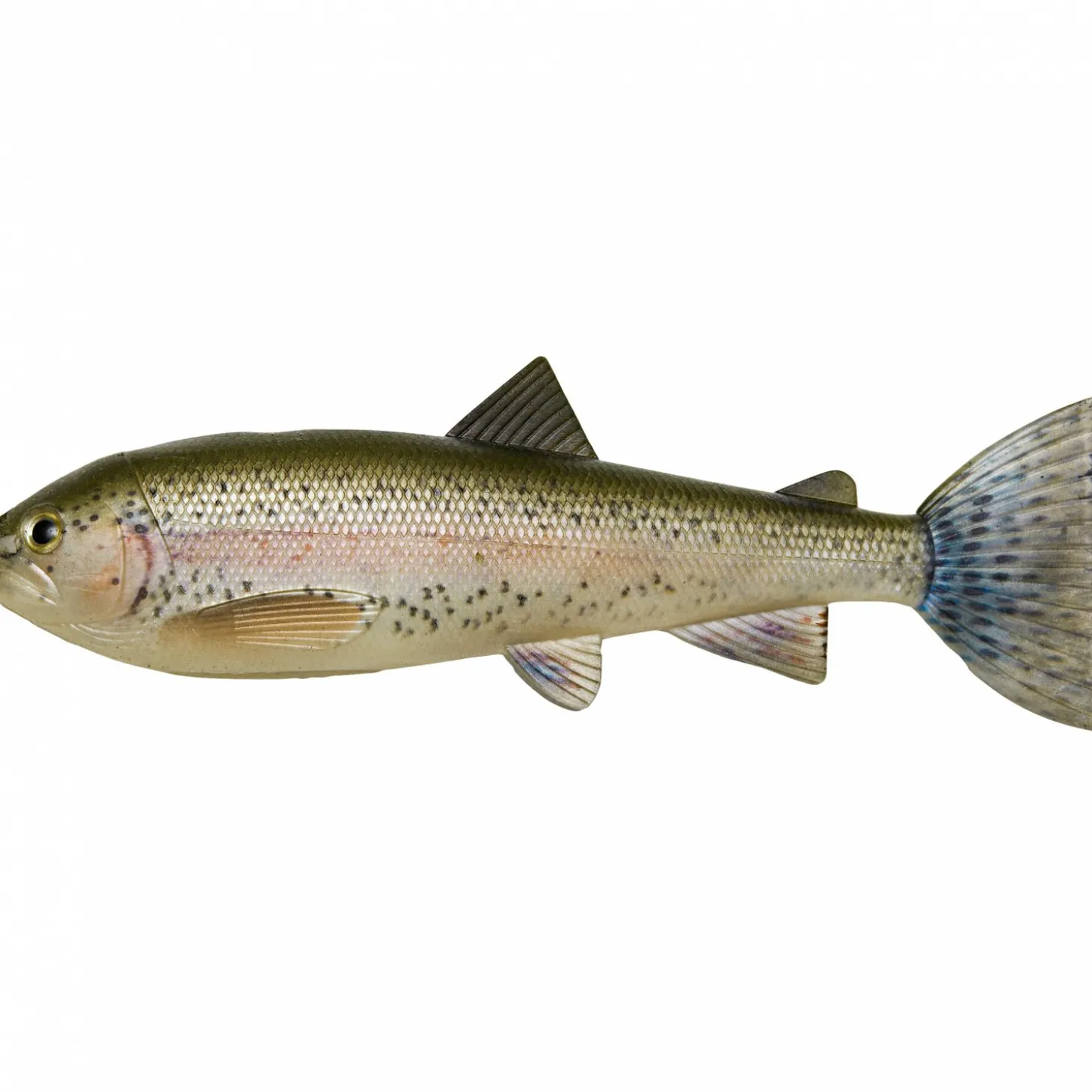 Pulz Bait Trout Skinz (Rainbow Trout)