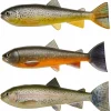 Pulz Bait Trout Skinz Set (Brown/Rainbow/Char)