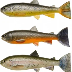 Pulz Bait Trout Skinz Set (Brown/Rainbow/Char)