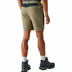 Regatta Mountain II Wandershorts Herren (Treetop/Black)