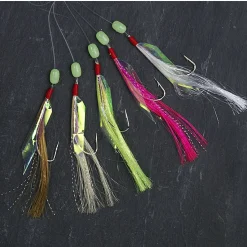 Seapoint Vorfach (Flasher)