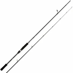 Shimano Bassterra Sea Bass Spin