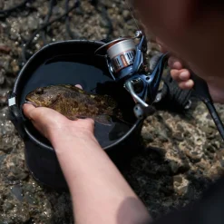 Shimano Spinnrolle Nasci FD 500