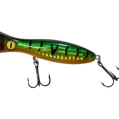 Shirasu King of Pop (Fireshark)