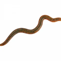 Shirasu Wiggle Worm (Green Pumpkin Amber Red)