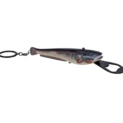 Sänger Flaschenöffner Wels