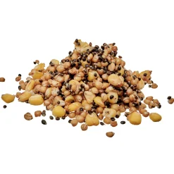 Starbaits Ready Seeds Spod Mix