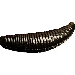 Trout Jara Weichplastikköder Bruchi (002, Garlic, Bubblegum)