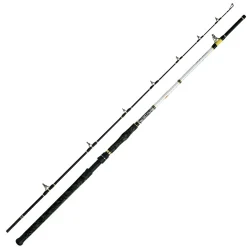 WFT Angelrute Catbuster Boat 240 cm 150-600 g