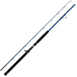 WFT WFT Meeresrute Seadart 12 lbs 210 cm 30-160 g