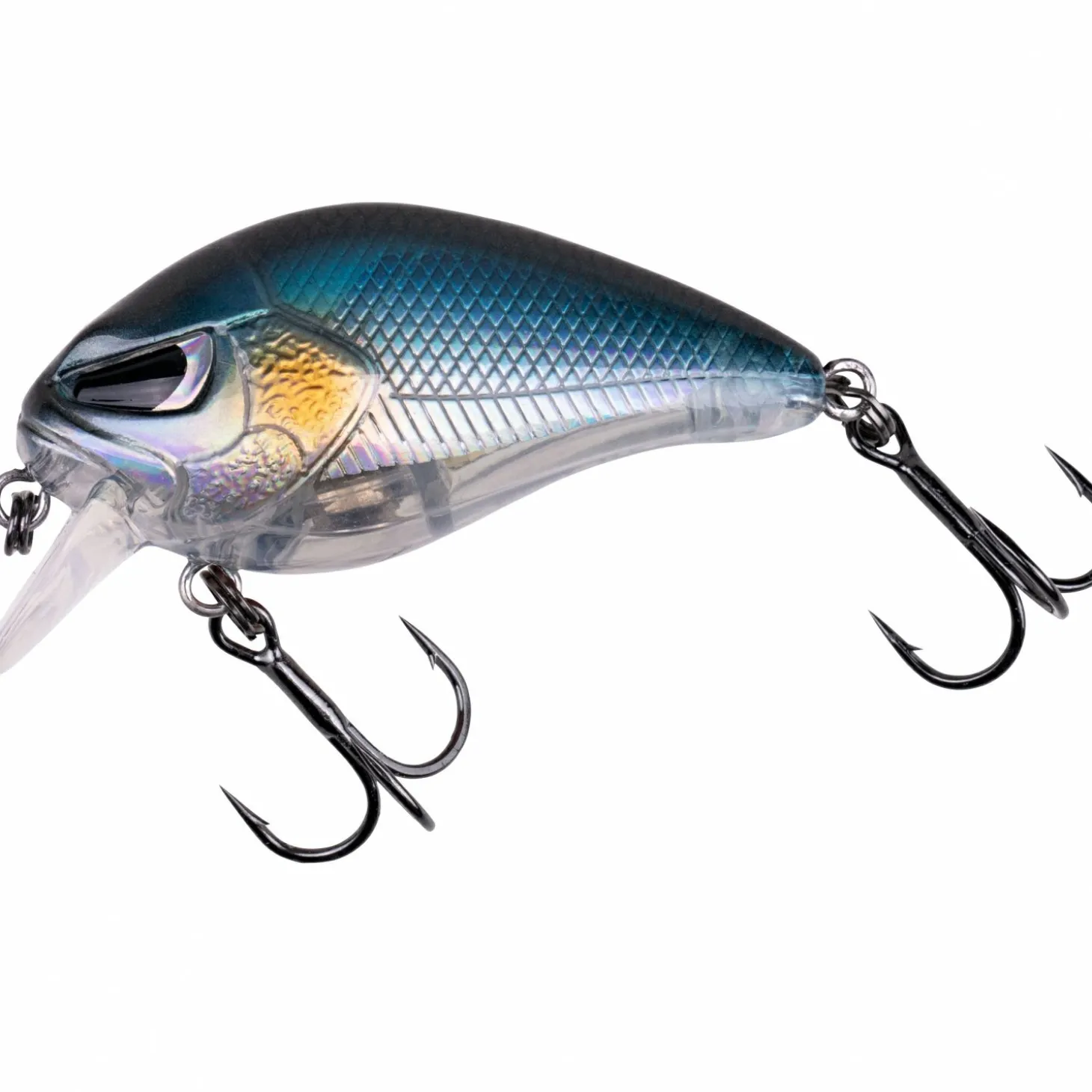 Zeck Danny (Baitfish)