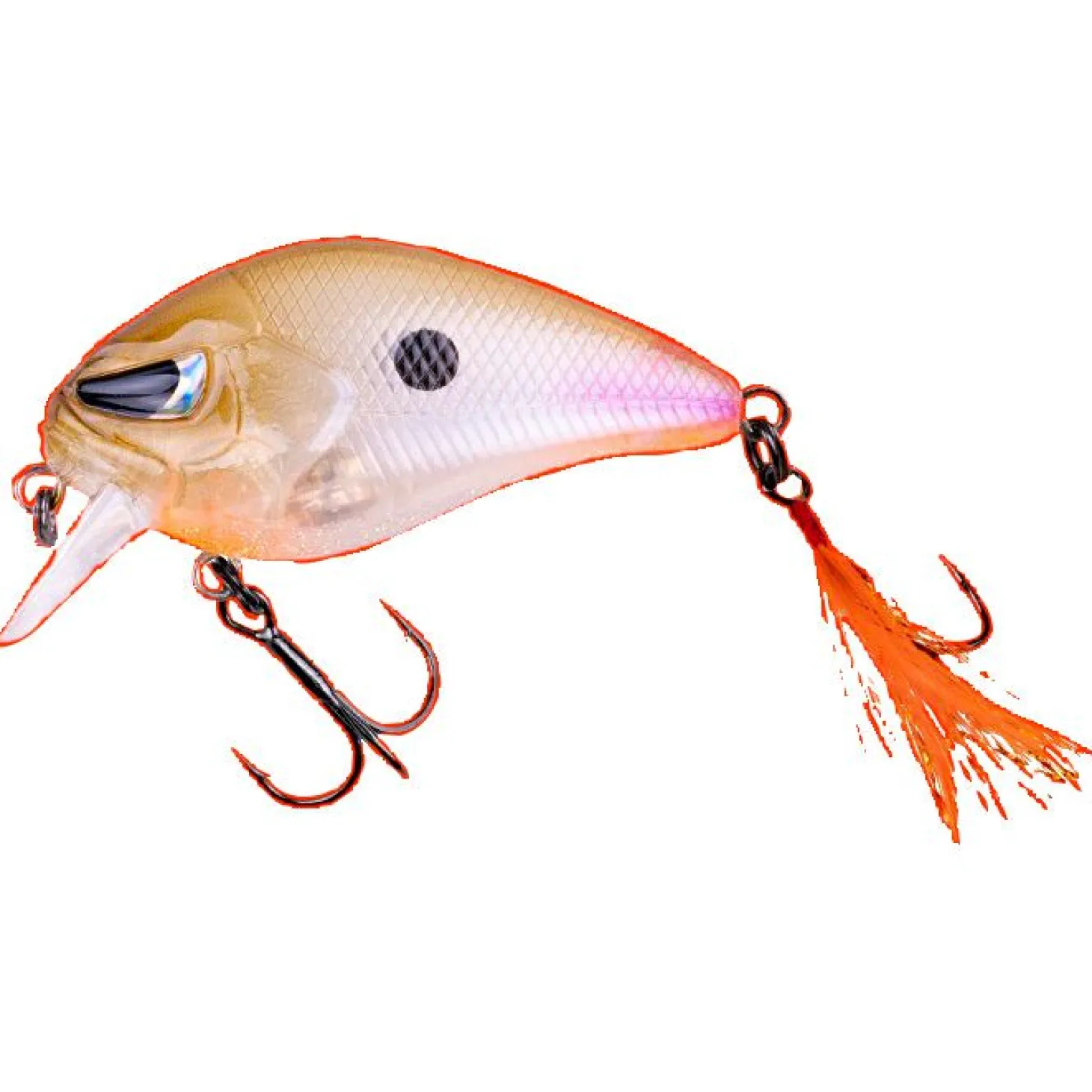 Zeck Danny (Wagasaki BA)