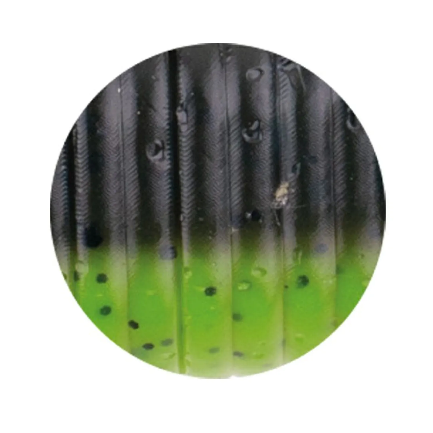 Zeck Drag-Tail (Moor Kiwi)