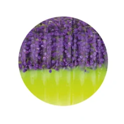 Zeck Drag-Tail (Purple Chatreuse)