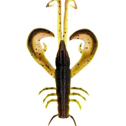 Zeck Edward (Moor Kiwi)